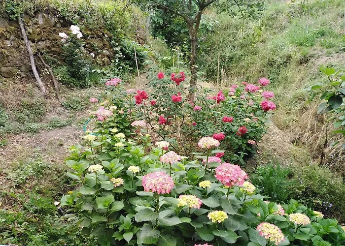 Bed and Breakfast Il Ghiro Levanto